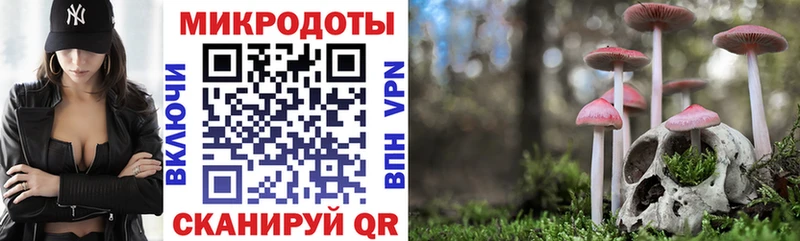 гидра вход  Рязань  Псилоцибиновые грибы Psilocybe 