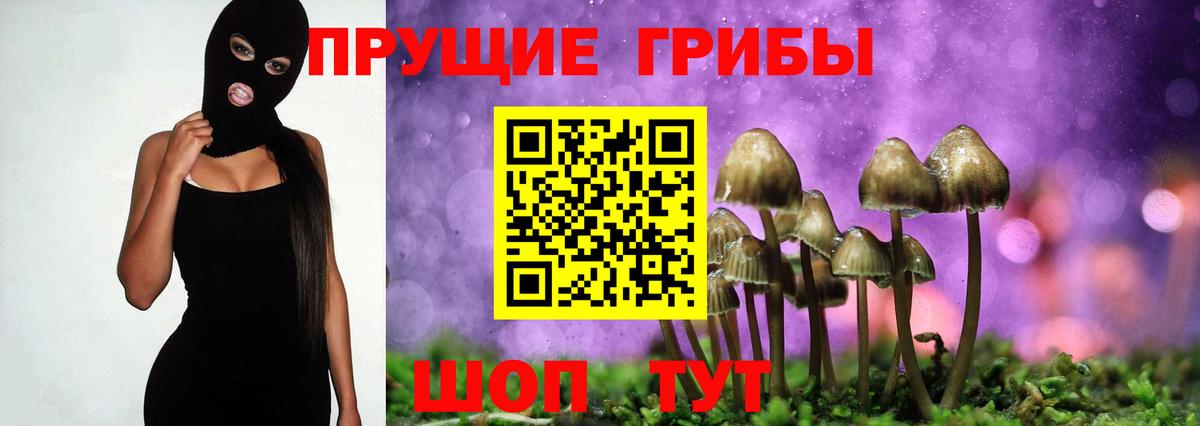 Псилоцибиновые грибы MAGIC MUSHROOMS  Галлюциногенные грибы ЛСД  Рязань  Вход с VPN 
